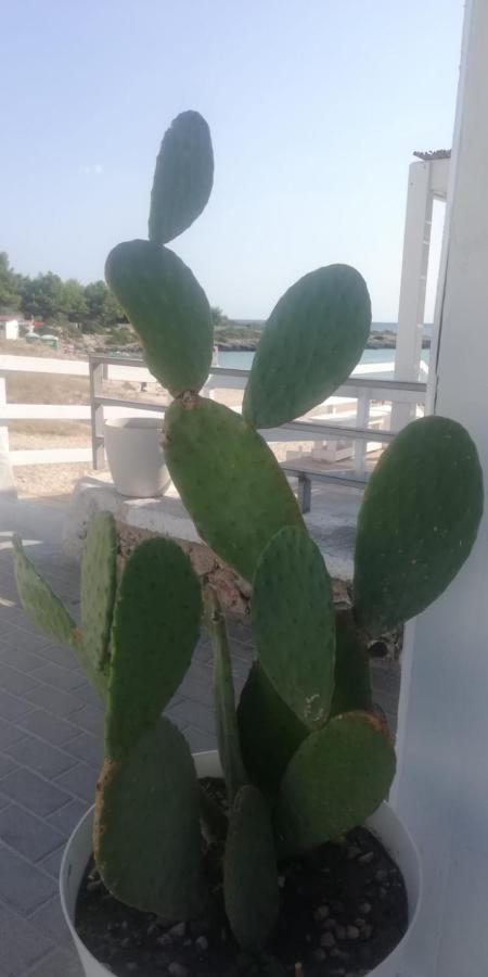 풀사노 Salenti..Amo 빌라 외부 사진